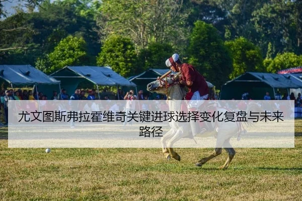 you-wen-tu-si-fu-la-huo-wei-qi-guan-jian-jin-qiu-xuan-ze-bian-hua-fu-pan-yu-wei-lai-lu-jing-2-307.jpg